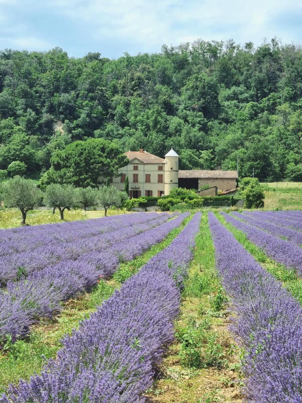 Domaine Des Balmes Villa Romans-sur-Isère Exterior foto